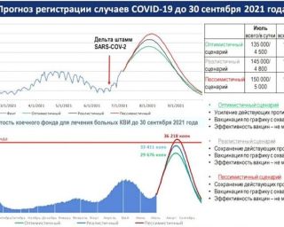 2021 07 prognoz